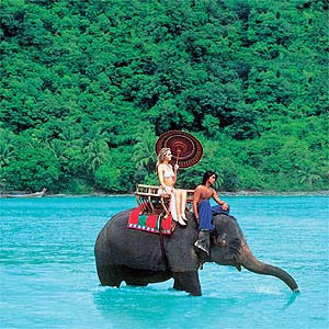 Ride on an elephant