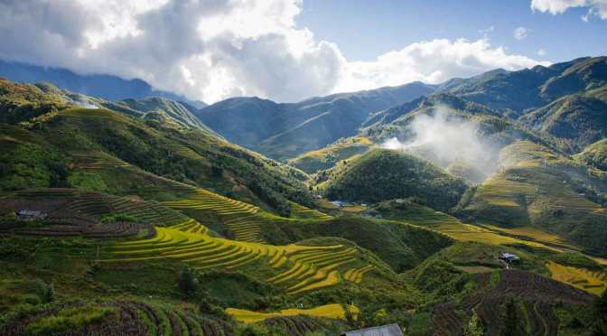 Wyjeżdżamy do Wietnamu już za 7 dni! A więc blog znowu ożyje.
