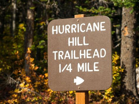 15212307199_216d5a7018_z