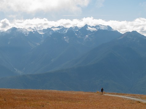 15212394730_b74d3f5bbb_z