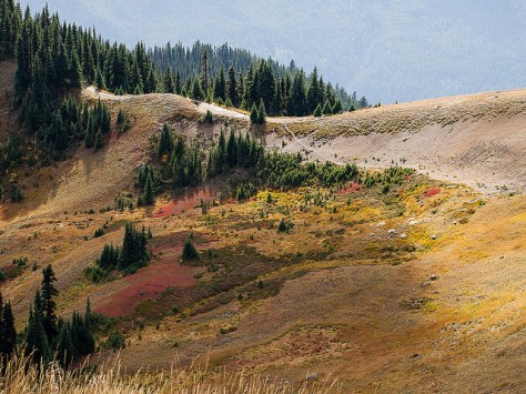 15399052415_45528c1482_z