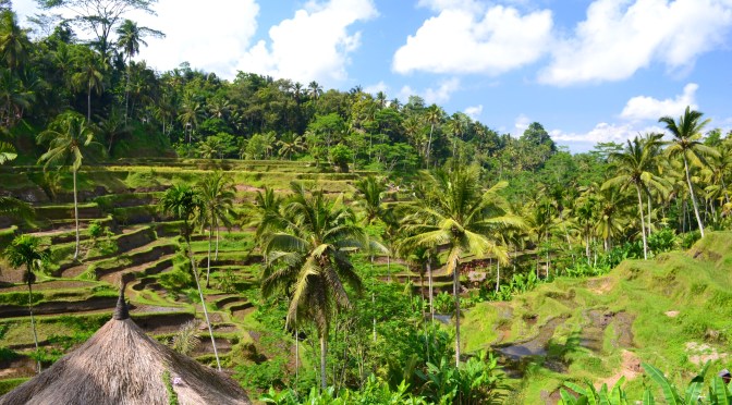 Bali wzdłuż i wszerz