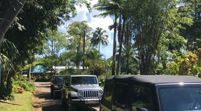 Malownicza Road to Hana